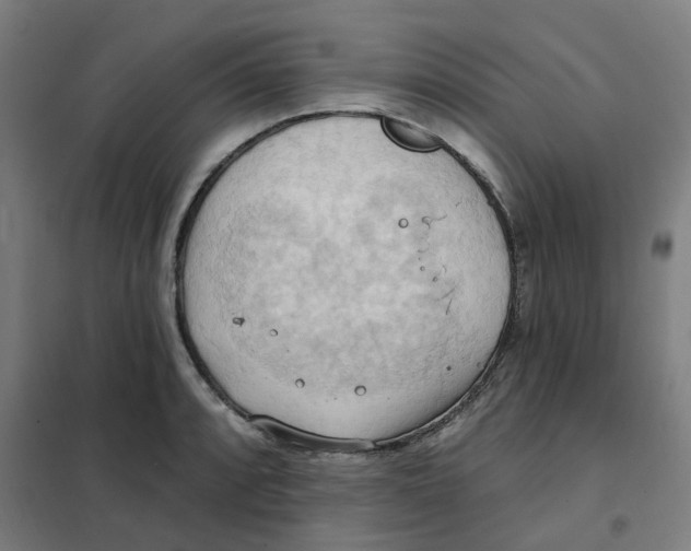 X0000101211088200807251043