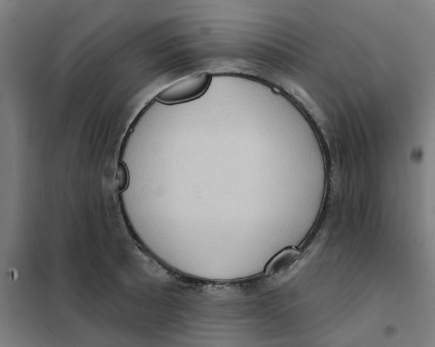 X0000101211089200807251043