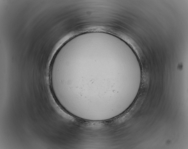 X0000101211090200807251043