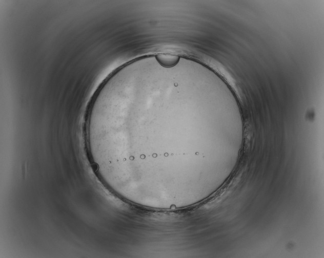 X0000101211091200807251043