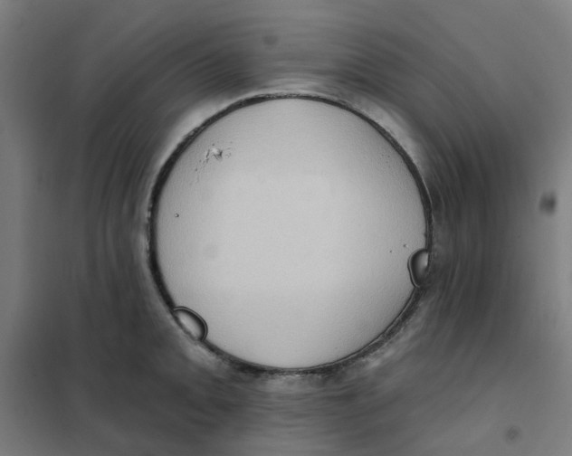 X0000101211093200807251043