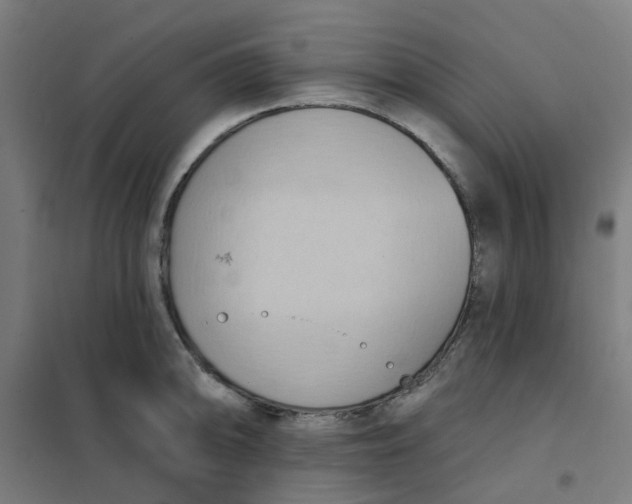 X0000101211094200807251043