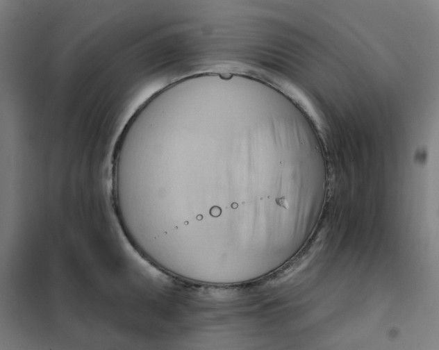 X0000101211095200807251043