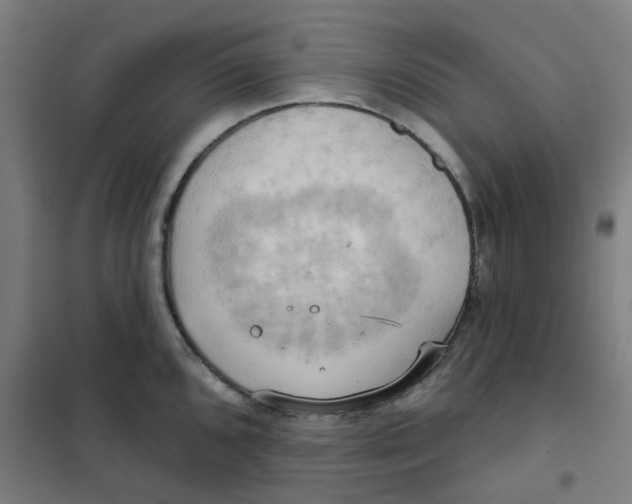 X0000101211096200807251043