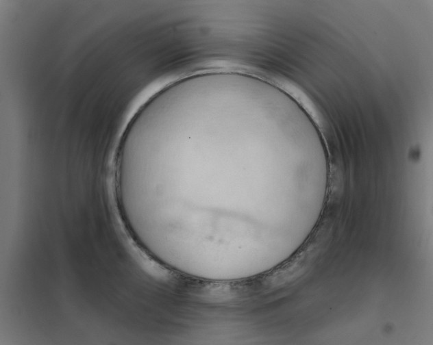 X0000101211098200807251043