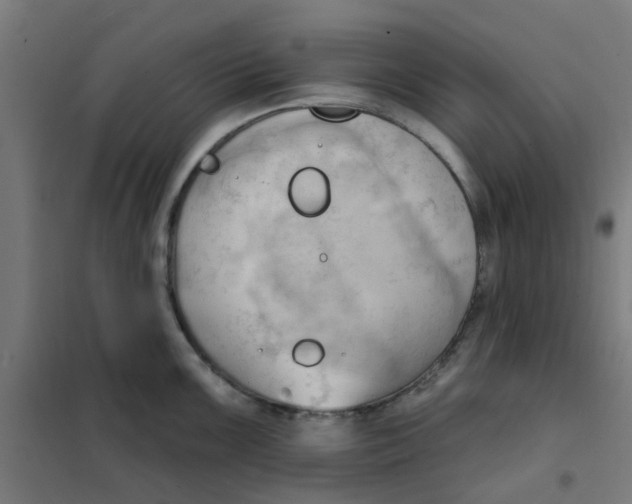 X0000101211099200807251043