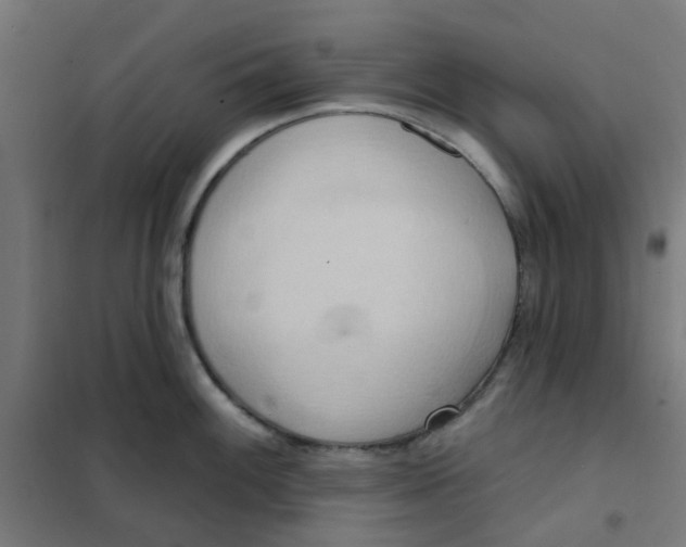 X0000101211100200807251043