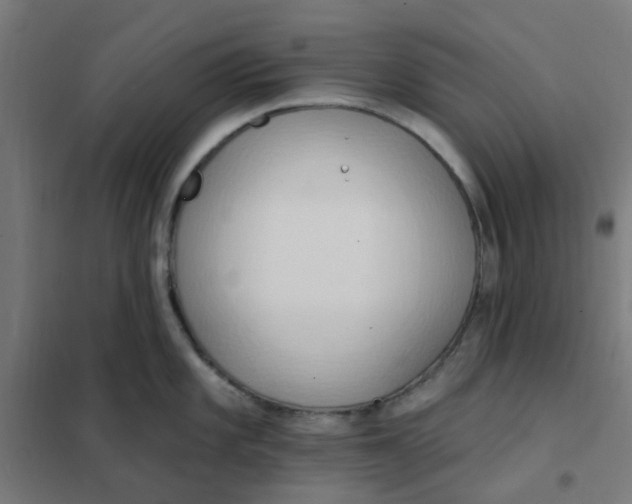 X0000101211101200807251043