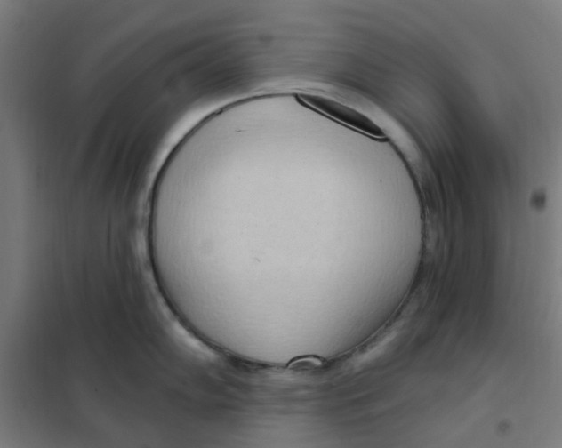 X0000101211102200807251043