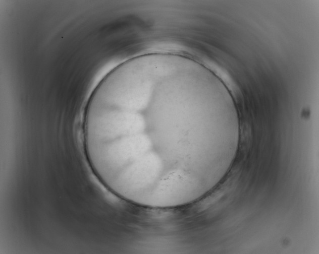 X0000101211103200807251043