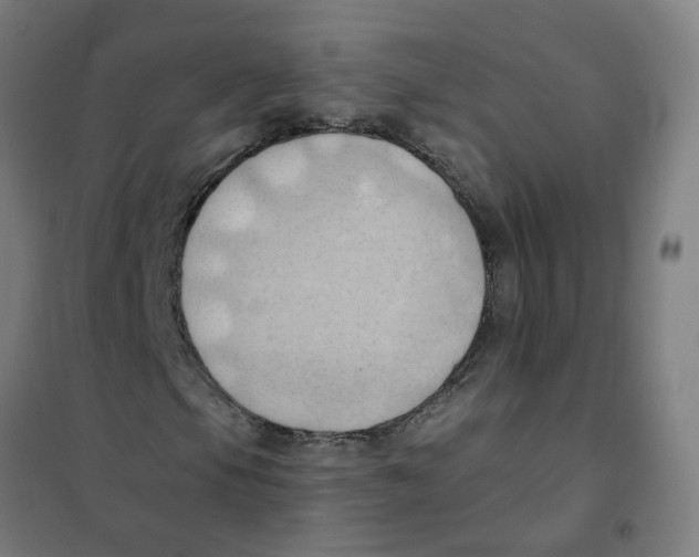 X0000101211105200807251042