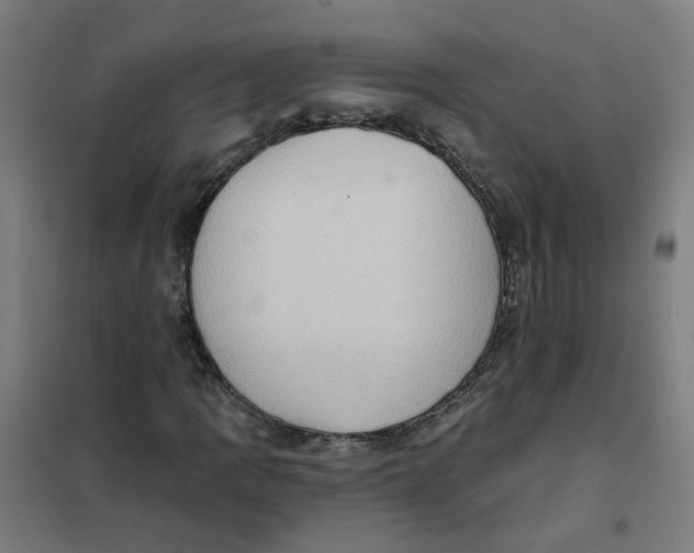 X0000101211109200807251042