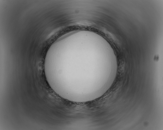 X0000101211110200807251042