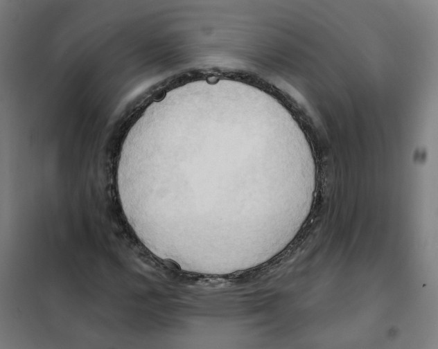 X0000101211112200807251042