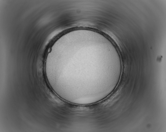 X0000101211115200807251042