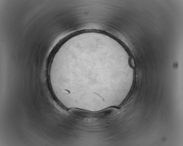 X0000101211116200807251042