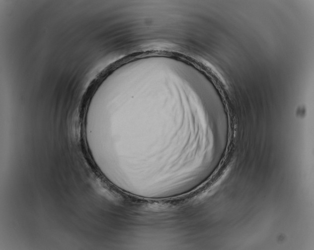 X0000101211117200807251042