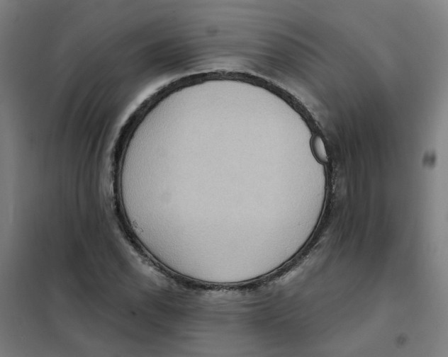 X0000101211118200807251042