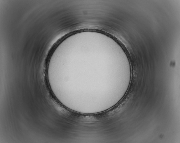 X0000101211119200807251042