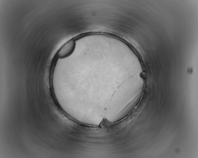 X0000101211120200807251042