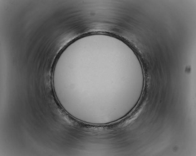 X0000101211121200807251042