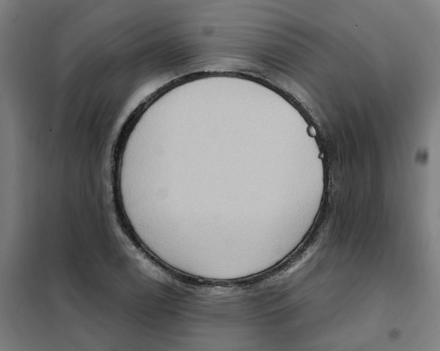 X0000101211122200807251042