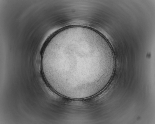 X0000101211123200807251042