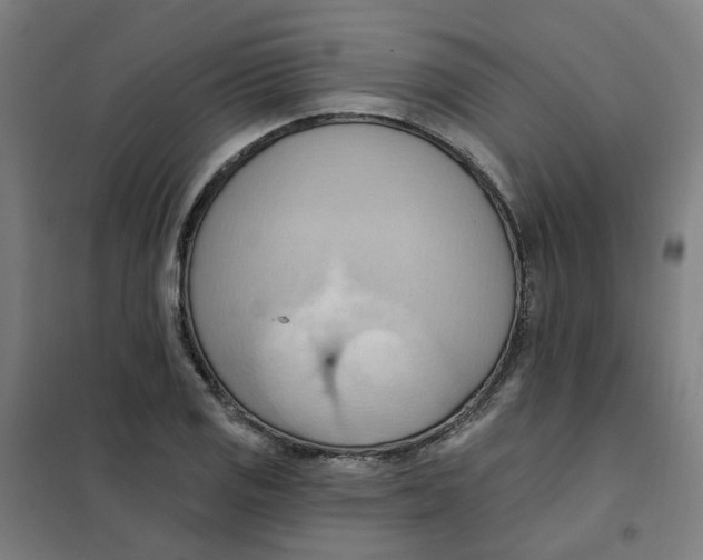 X0000101211125200807251043