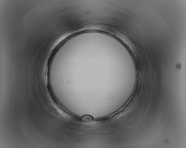 X0000101211127200807251043