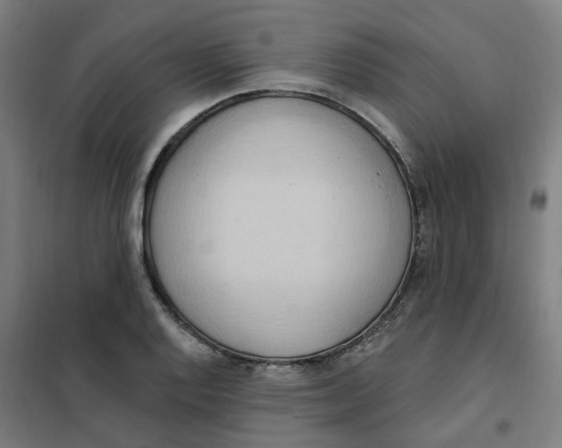 X0000101211128200807251043