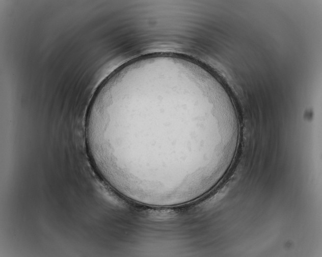 X0000101211129200807251043