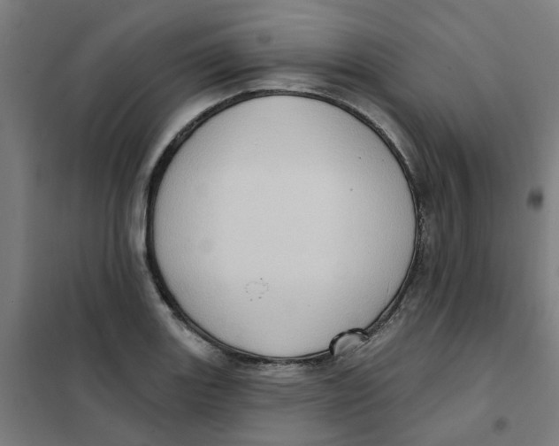 X0000101211131200807251043