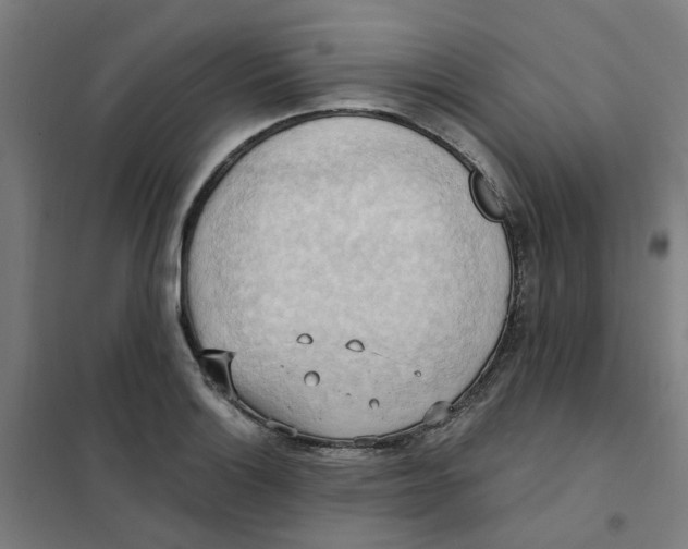 X0000101211132200807251043