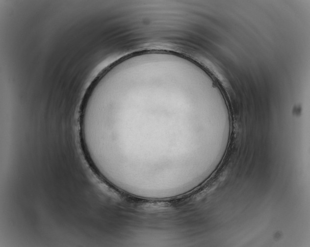 X0000101211133200807251043