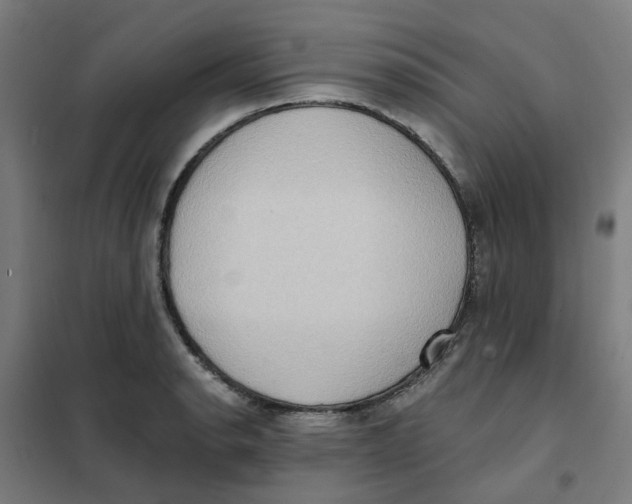 X0000101211134200807251043