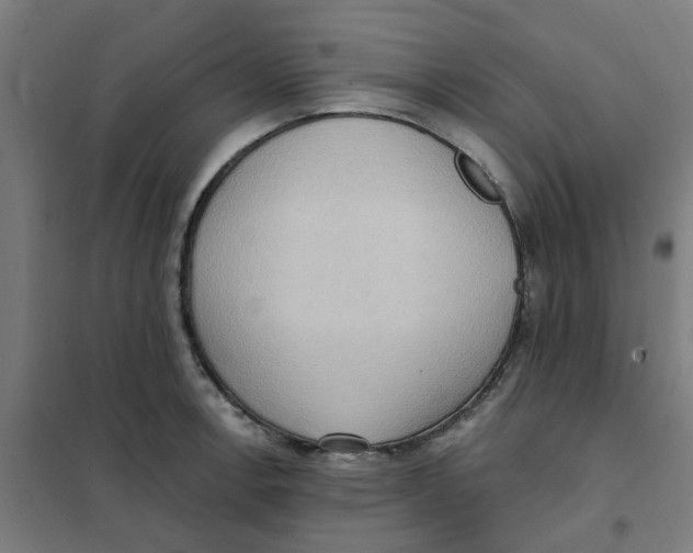 X0000101211138200807251043