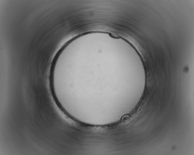 X0000101211139200807251043