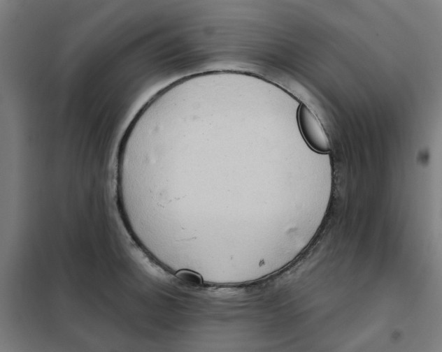 X0000101211140200807251043