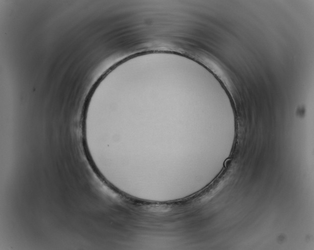 X0000101211141200807251043