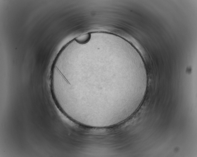 X0000101211143200807251043