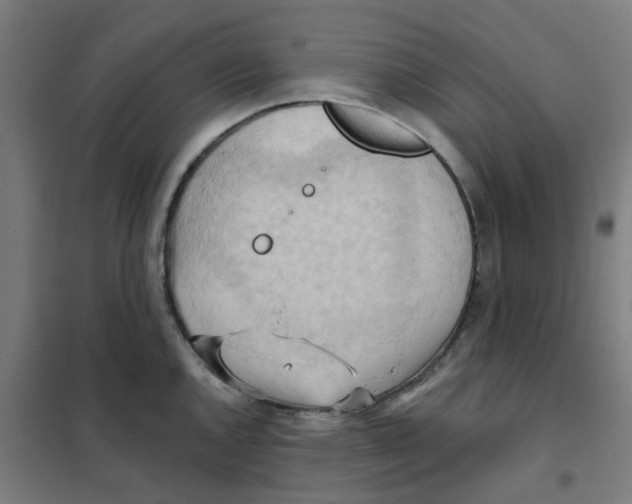 X0000101211144200807251043