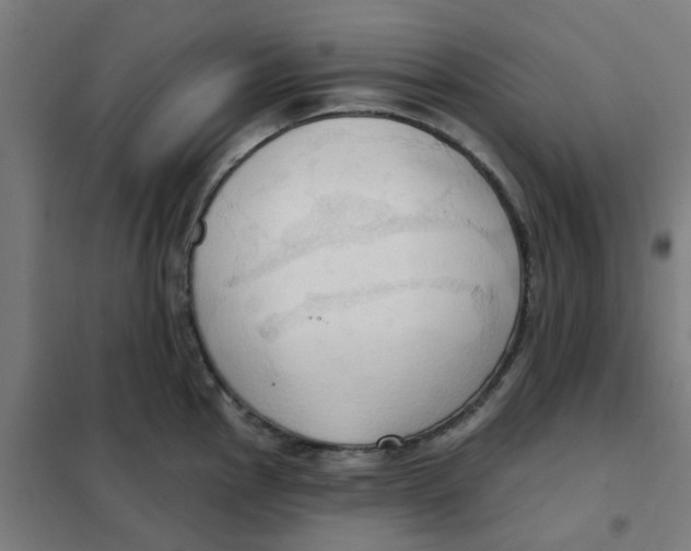 X0000101211145200807251043