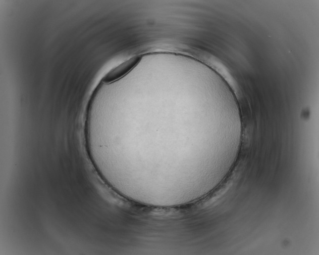 X0000101211146200807251043