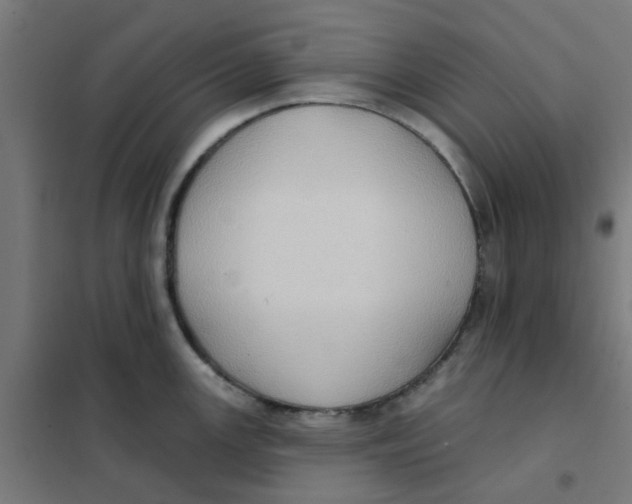 X0000101211147200807251043