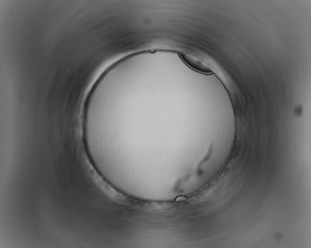 X0000101211148200807251043