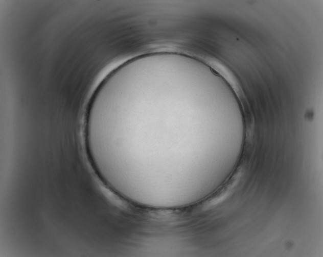 X0000101211149200807251043