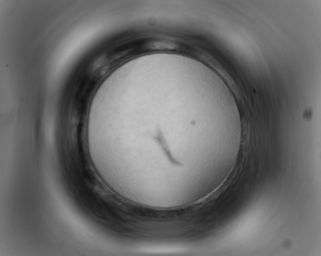 X0000101211151200807251043