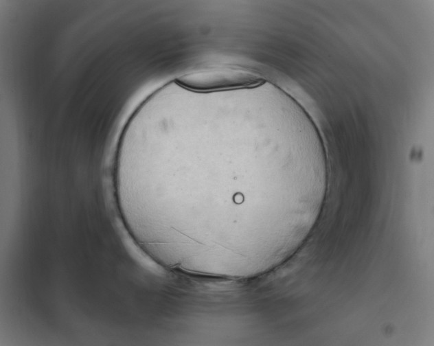 X0000101211152200807251043