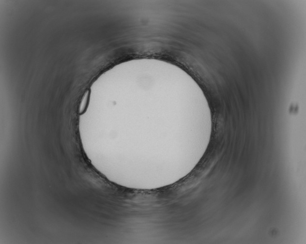 X0000101211153200807251042