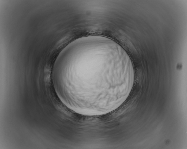 X0000101211154200807251042